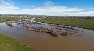 Kars Çayı taştı: Ağaçlar sular altında kaldı